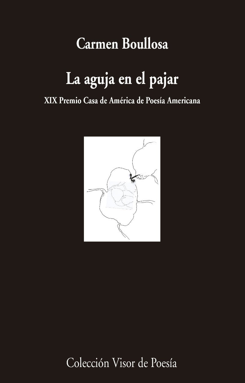 La aguja en el pajar