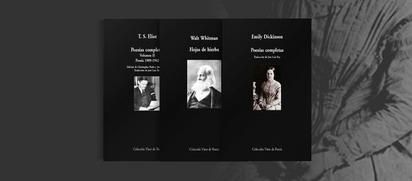 Colección Visor de Poesía / Serie Maior