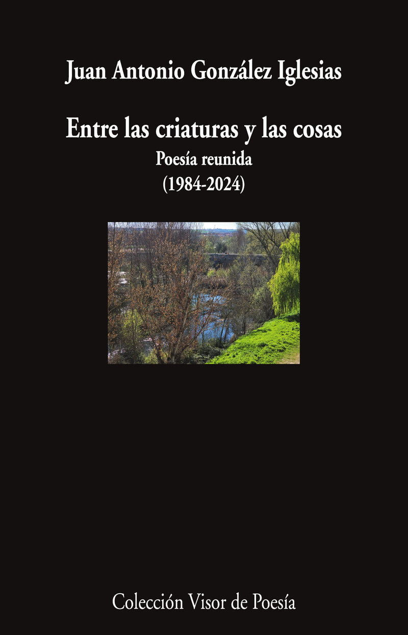 Entre las criaturas y las cosas