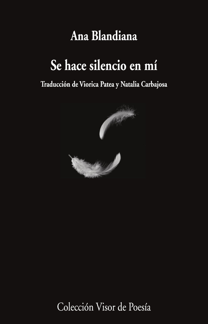Se hace silencio en mí