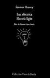 Luz eléctrica / Electric light