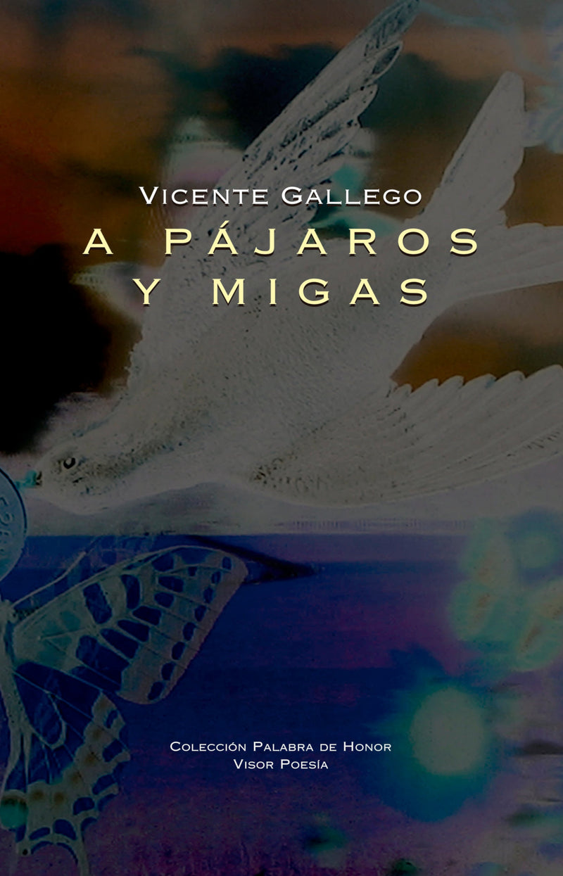 A Pájaros y Migas