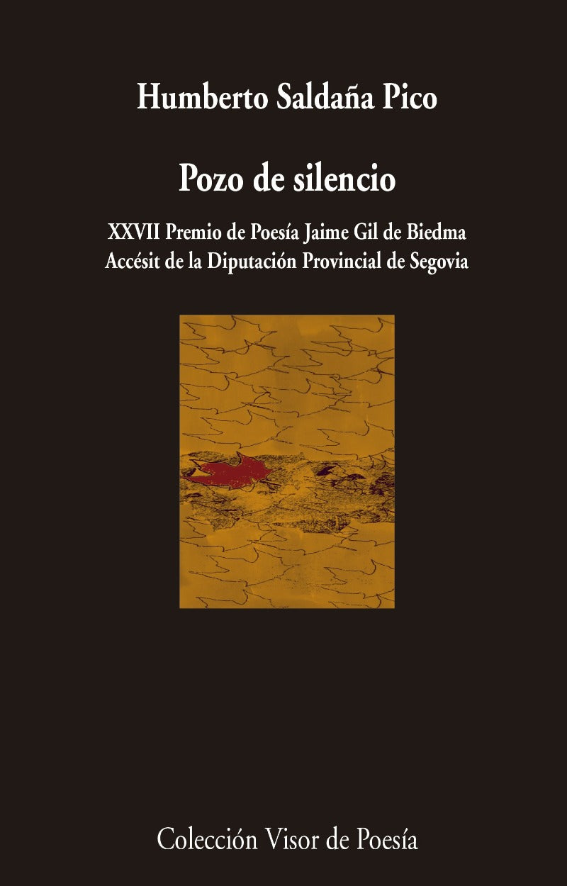 Pozo de silencio