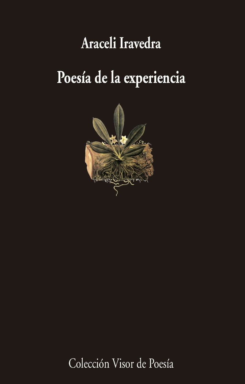 Poesía de la experiencia