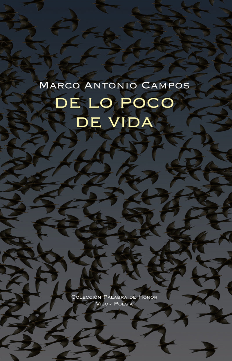 De lo poco de vida
