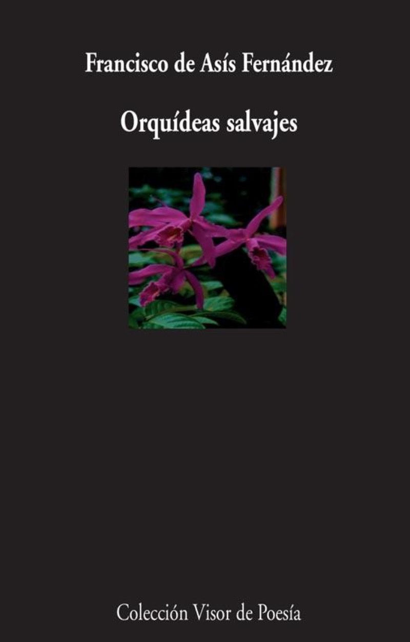 Orquídeas salvajes