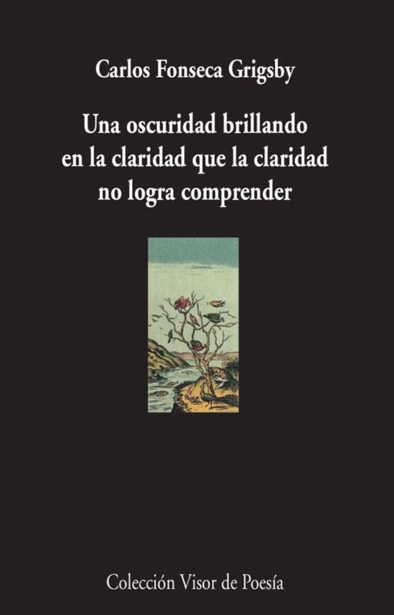 Una oscuridad brillando en la claridad que la claridad no logra comprender