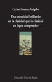 Una oscuridad brillando en la claridad que la claridad no logra comprender